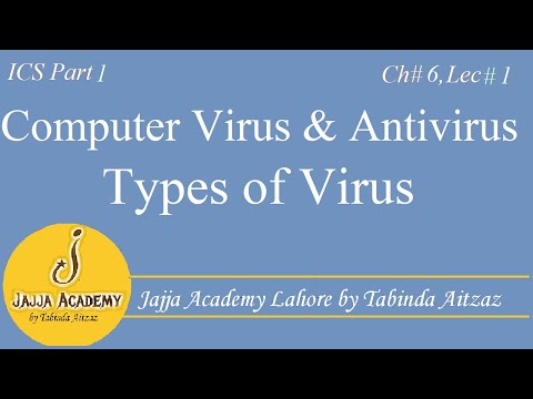 What is Computer Virus and Antivirus| Types of computer virus