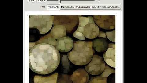 Morphological Processing