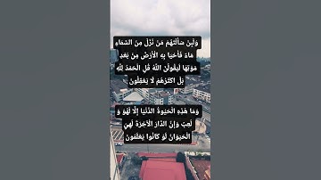 سورة العنكبوت الآيتان 64-64 #quranchapter #allah #surahkahaf #quransurah