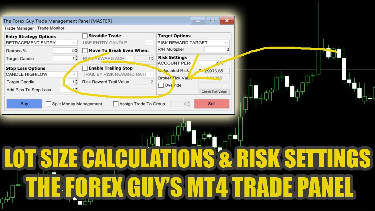 Forex Lot Sizing Explained Trade Panel Risk Settings Tutorial - 