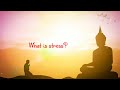 If you are in stress then relax and watch this  buddha quotes 