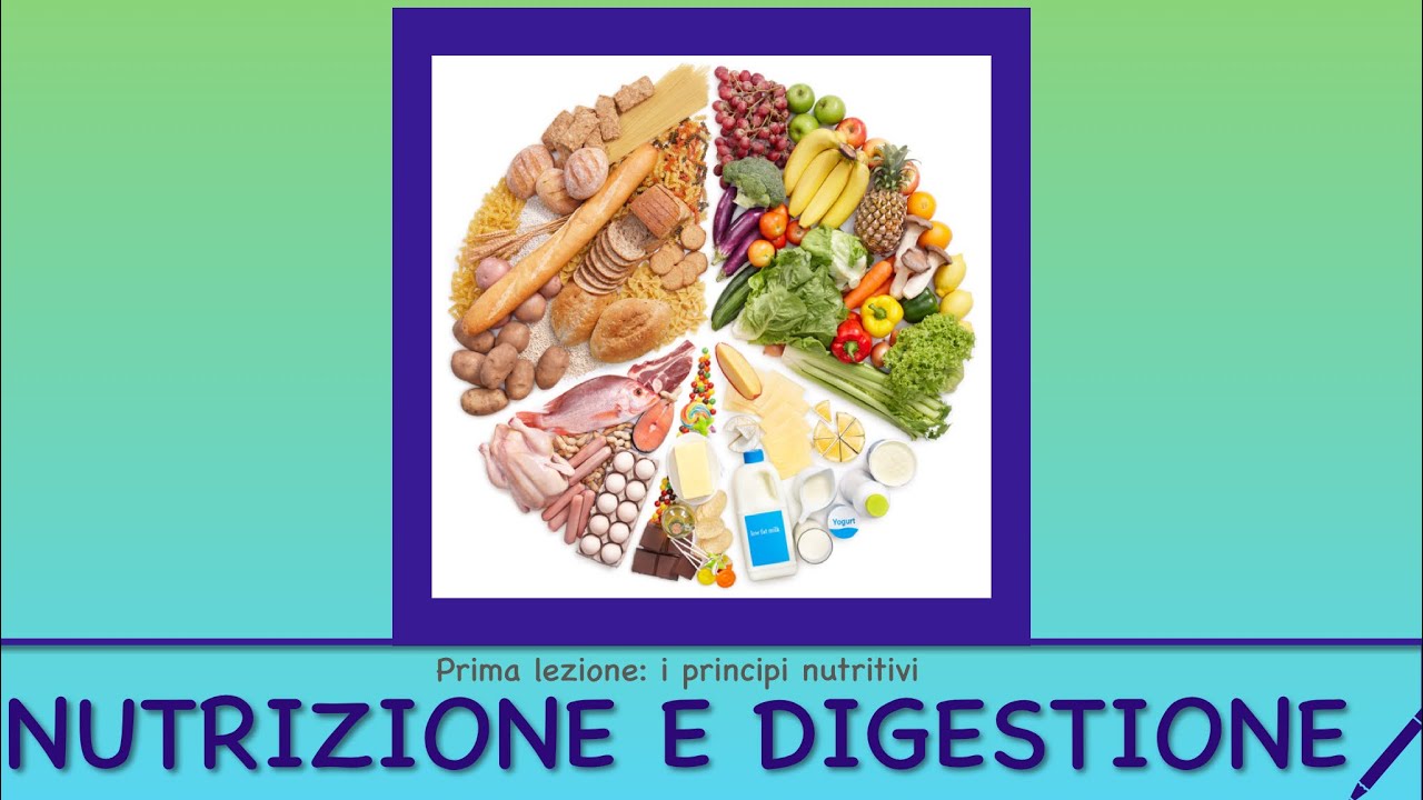 Che Cosa Sono I Principi Nutritivi