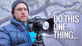 How To Photograph Trees and Foggy Forests For Landscape Photography