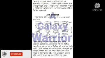 HSC 2022 Assignment Biology 11th Week answer