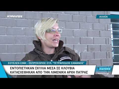 ΑΧΑΪΑ | Εντοπίστηκαν
