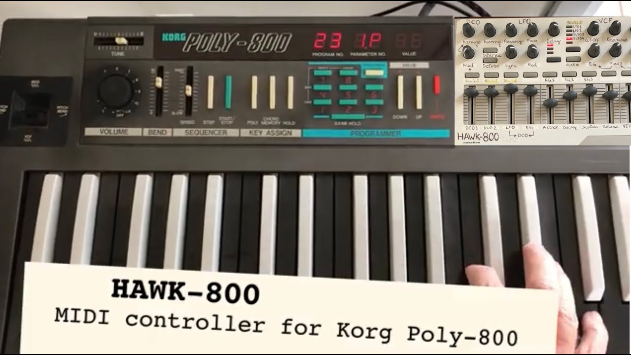 korg poly 800 module korg poly 800 module