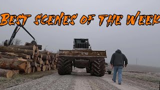 Best logging action scenes of the week