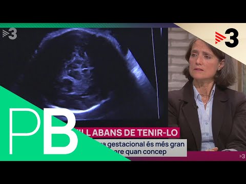 Vídeo: Durant el segon i tercer trimestre de l'embaràs?