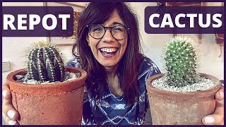 How to repot a cactus LIKE A PRO | how to repot cacti