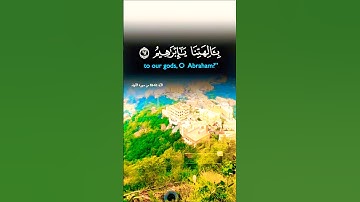 تلاوة خاشعة بصوت يريح الأعصاب #elmulquranعلم #اكسبلور #تلاوة #trend #aslam #duet