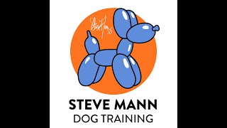 Teach Your Dog To Love Being Picked Up