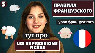 видео: ПРАВИЛА ФРАНЦУЗСКОГО - Урок 5 - Вернёмся к нашим баранам | Устойчивые выражения на французском языке картинка: ПРАВИЛА ФРАНЦУЗСКОГО - Урок 5 - Вернёмся к нашим баранам | Устойчивые выражения на французском языке