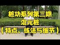 桩功 桩功系列第三期 混元桩的特点与练法 桩功 桩功系列第三期 混元桩的特点与练法