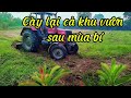 Cày lại khu vườn để chuẩn bị vụ mới (Phần 1)