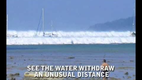 Know the Natural Warning Signs of a Tsunami