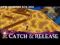 Gw2  sab catch and release achievement