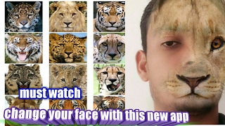 Change your face to animal faces  in 2 minutes from this new app screenshot 2
