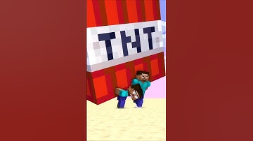 Running With Bigger And Bigger TNT Steve and Herobrine #shorts #friendship #mrbeast #helpherobrine