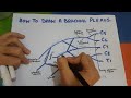 How to draw brachial plexus easy