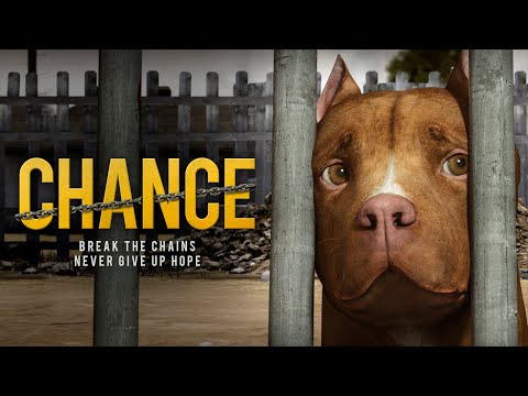 CHANCE The Movie Part 1 (2019), Drama Short Film