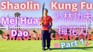 ► Shaolin Kung Fu - Mei Hua Dao 🔪 #梅花刀 #少林功夫 #少林梅花刀 🔥 #少林單刀 #大刀 #功夫教學 示範 教學 Training Tutorial Part 1