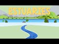 Exploring Estuaries