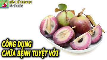 CÔNG DỤNG CHỮA BỆNH TUYỆT VỜI CỦA VÚ SỮA KHÔNG PHẢI AI CŨNG BIẾT
