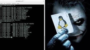 Recuperando dados com o Photorec - Debian 8