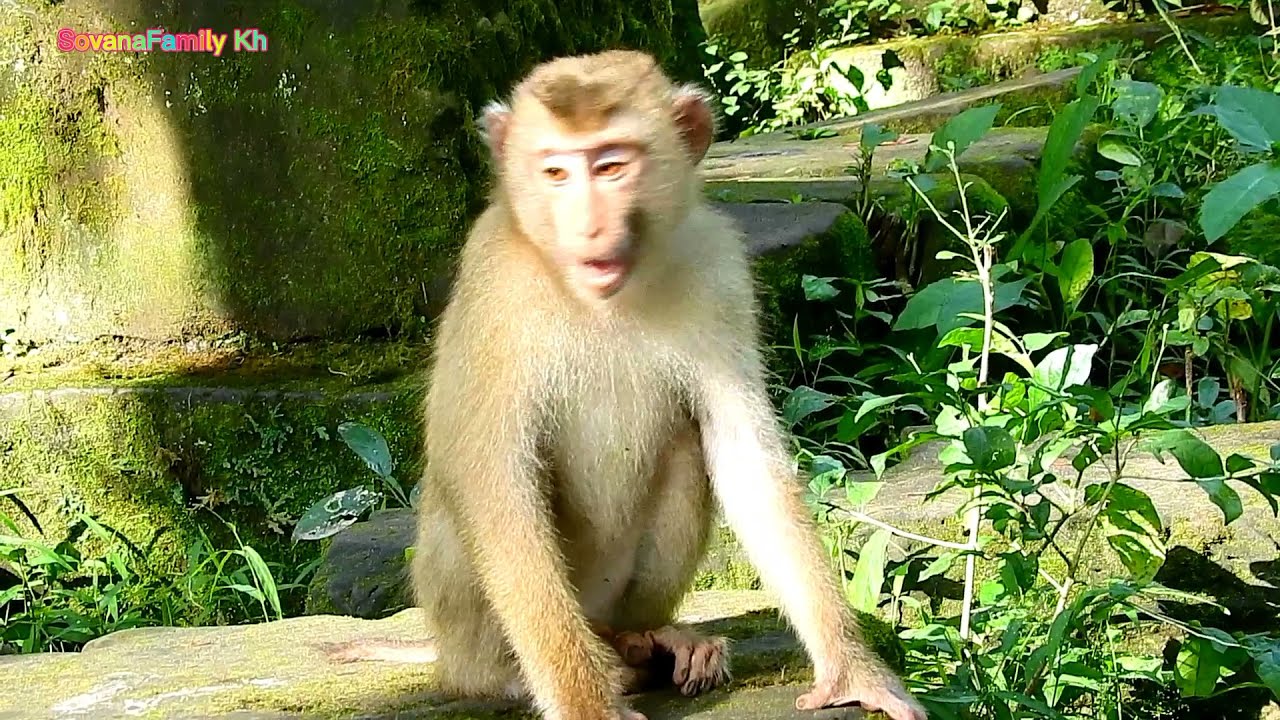 I'm really happy to see the Sovana happy with her brother Romel and Alan