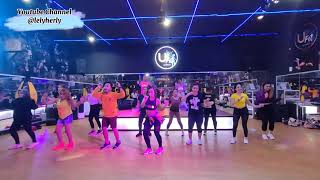 Out The Speakers - A Track, Milo & Otis Zumba Workout Dance Choreo Lely Herly