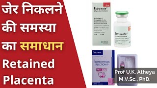 जेर निकलने की समस्या का समाधान - Prostaglandin