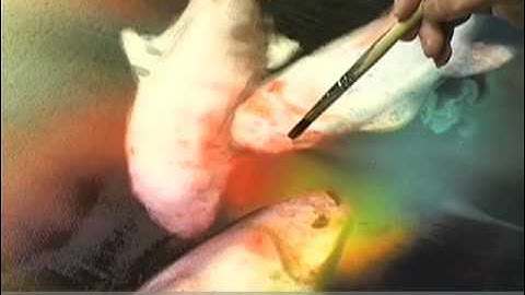 Saturated Wet Technique with Cheng-Khee Chee, Vol 3