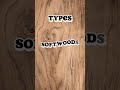 Types of wood used in construction🚧 #construction #buildingmaterials #happynewyear