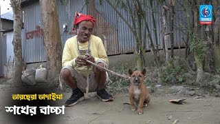 শখের বাচ্চা | Sokher Baccha | তারছেরা ভাদাইমা | Bangla New Comedy Koutuk 2021 | Badaima New Koutuk