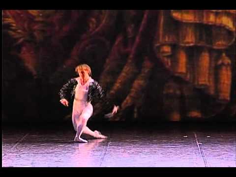 Денис Матвиенко - фрагмент из балета "Дон Кихот" (Dance Open)