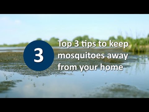 Video: 3 maniere om muskietteling in reënvate te voorkom