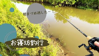 【霞ヶ浦?陸っぱりバス釣り】寝過ごしちゃった‼︎お寝坊釣行?