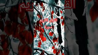 Al quran ul kareem #allah #quranrecitation #quranictranslation #motivation