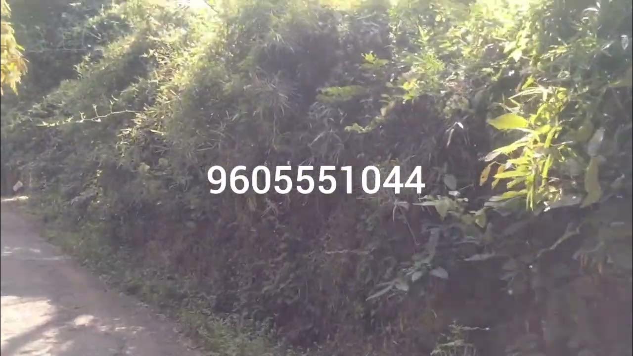 plot for sale Guruvayur ( 4km guruvayur temple )22cent per cent 2