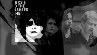 15. But Not Them (Performed by The Creatures, 1981) / Siouxsie And The Banshees At The BBC CD1, 2009