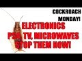 Why ROACHES infest ELECTRONICS & how to stop them!