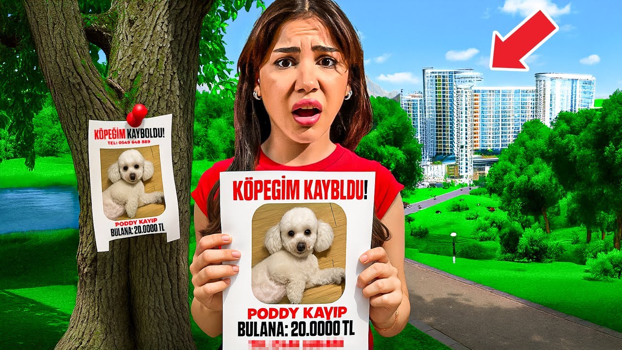 KÖPEĞİM KAYBOLDU !! BULANA 20.000 TL ÖDÜL !!