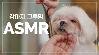 강아지 그루밍 백색소음 / ASMR Relaxing Dog Grooming