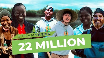#TeamTrees Planting Update | 1 Year Anniversary