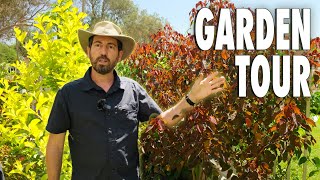 Garden Tour // best plants for more colorful garden 🌿🍁 by Omer Calderon 2,648 views 1 year ago 4 minutes, 28 seconds