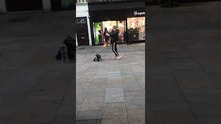 IMG 1692