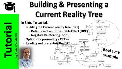 Building & Presenting a Current Reality Tree (CRT)
