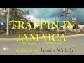 TRAPPIN IN ＪＡＭＡＩＣＡ [4K VR REMASTERED] (trailer)