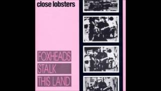 Close Lobsters - Just Too Bloody Stupid chords