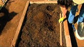 Tips For Growing Strawberries 